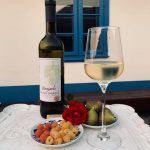 Komjatice, víno Komjatice, degustácie Komjathi